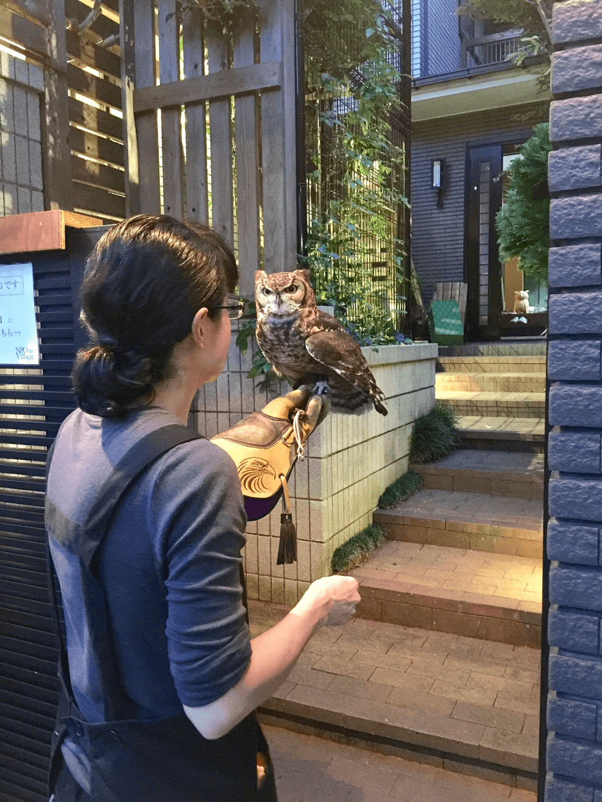 なぜこの課題に取り組むかの画像