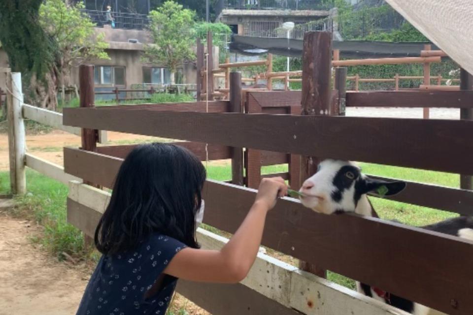 なぜこの課題に取り組むかの画像