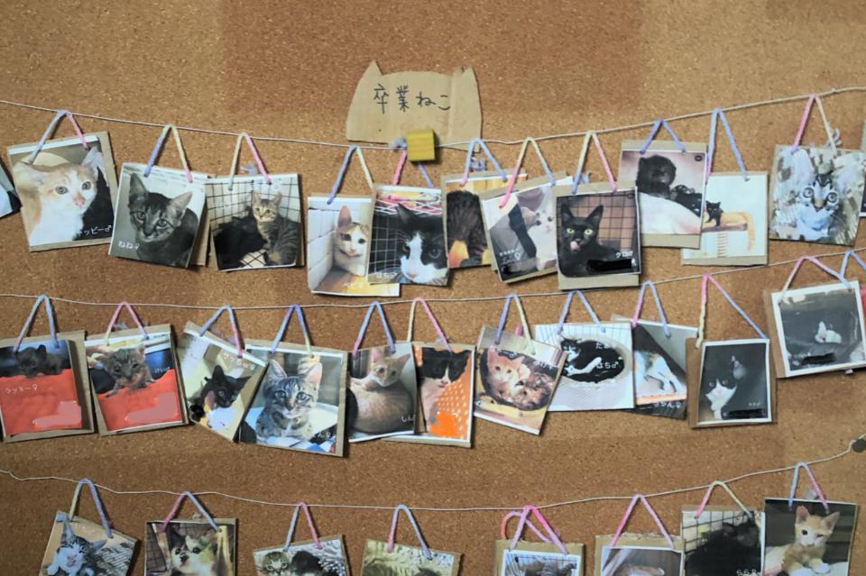 なぜこの課題に取り組むかの画像