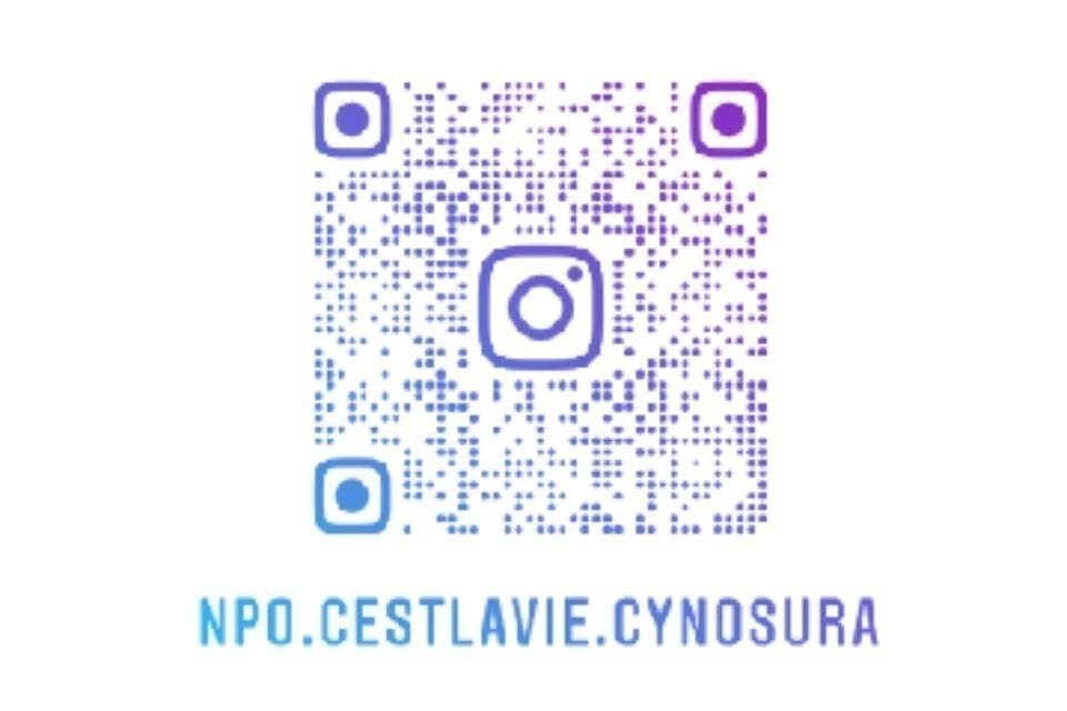 なぜこの課題に取り組むかの画像