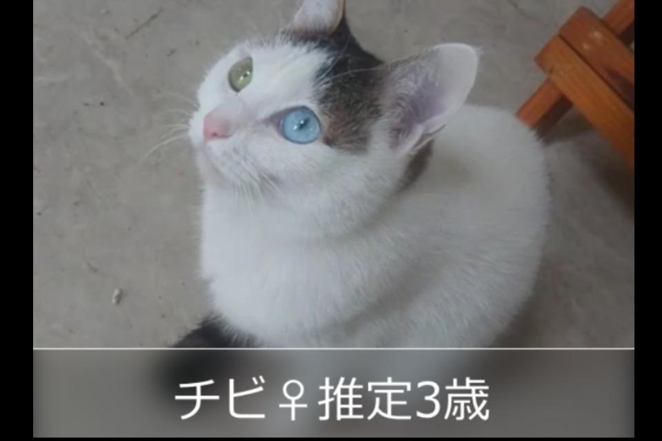 なぜこの課題に取り組むかの画像