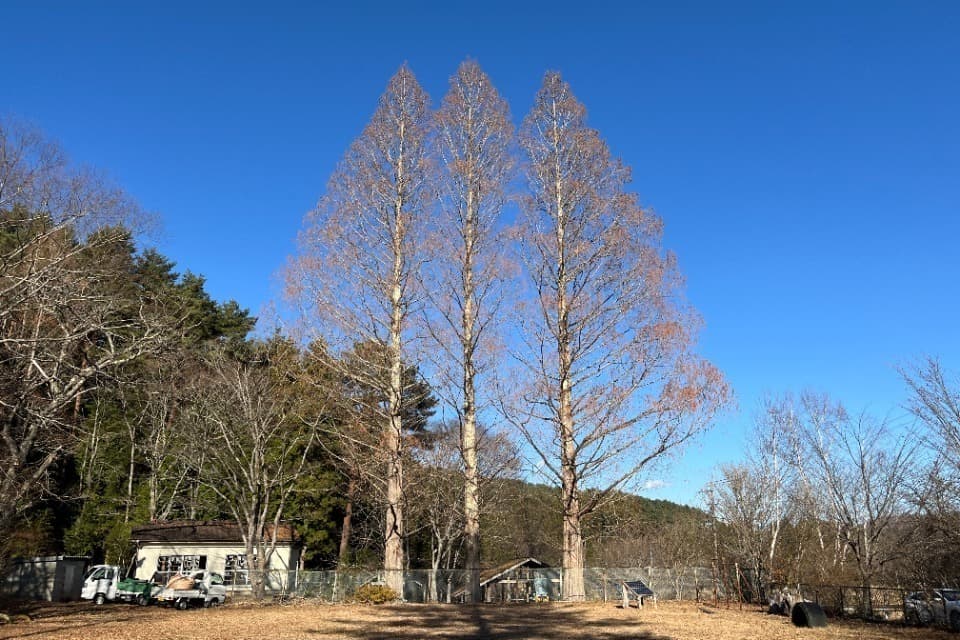 なぜこの課題に取り組むかの画像