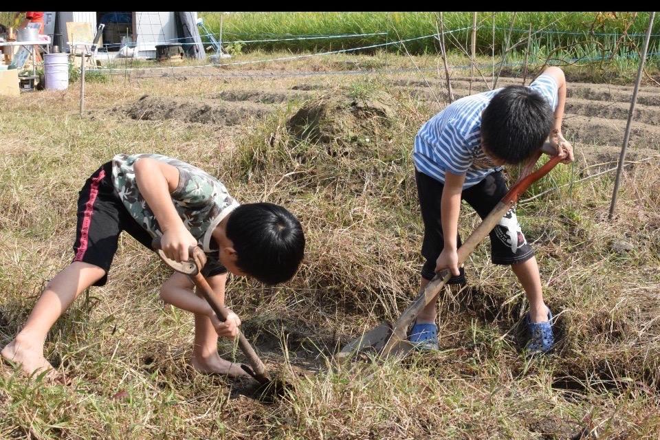 Why we are tackling this issue Image