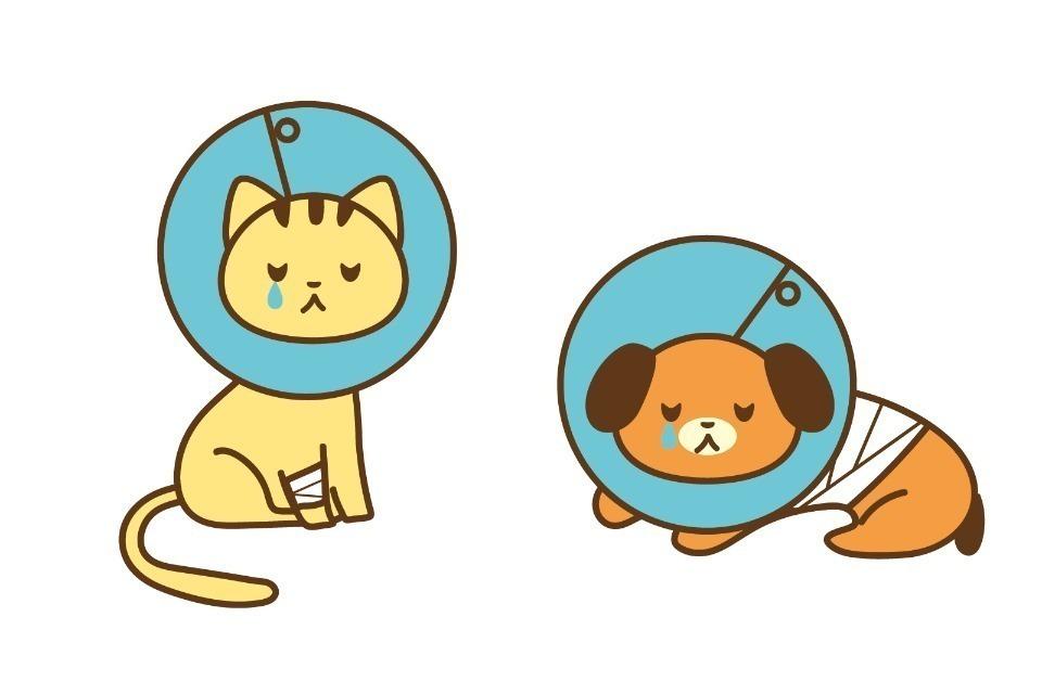 なぜこの課題に取り組むかの画像