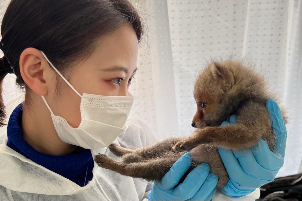 なぜこの課題に取り組むかの画像