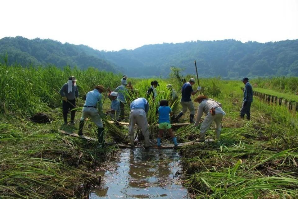 なぜこの課題に取り組むかの画像