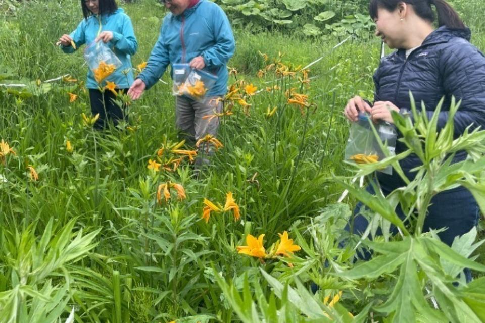 なぜこの課題に取り組むかの画像