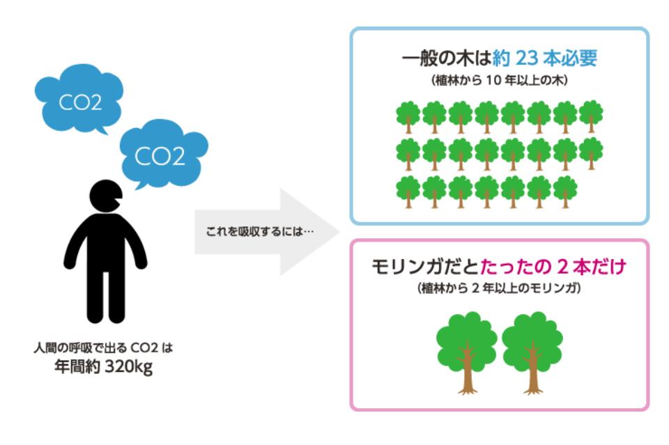 なぜこの課題に取り組むかの画像