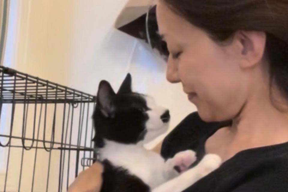 なぜこの課題に取り組むかの画像