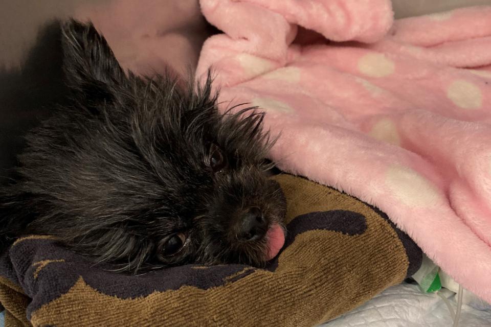 なぜこの課題に取り組むかの画像