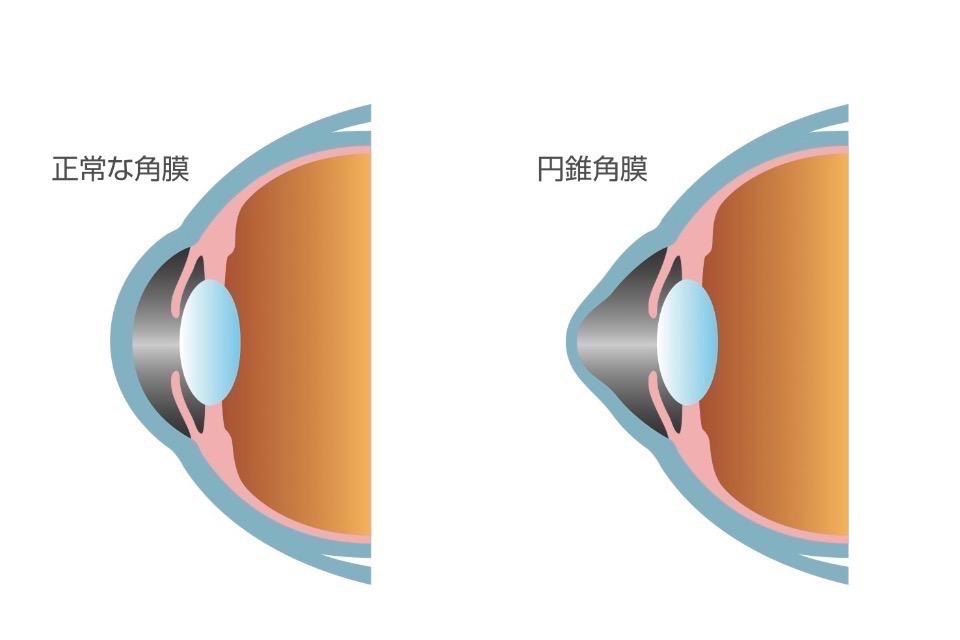 なぜこの課題に取り組むかの画像