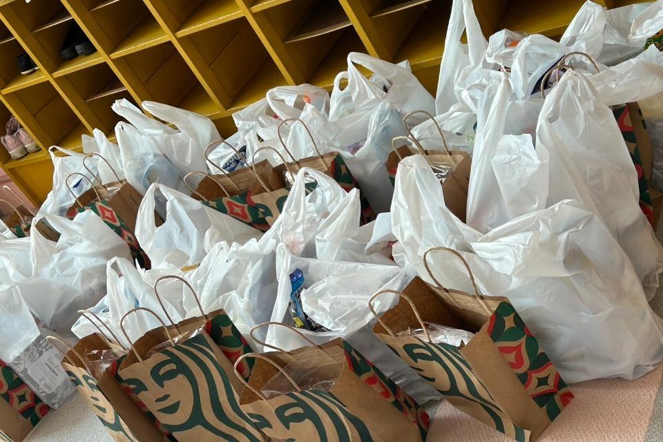 Why we are tackling this issue Image