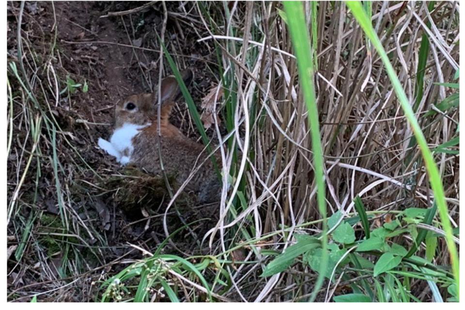 なぜこの課題に取り組むかの画像