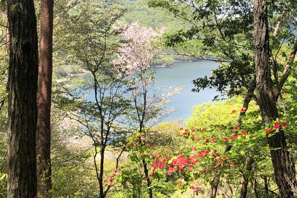 なぜこの課題に取り組むかの画像