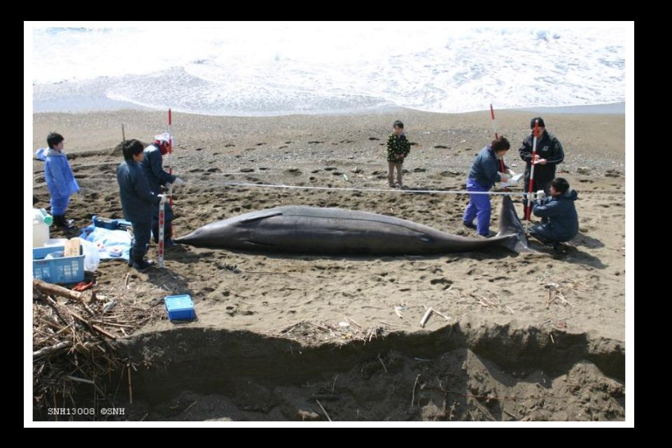 Why we are tackling this issue Image