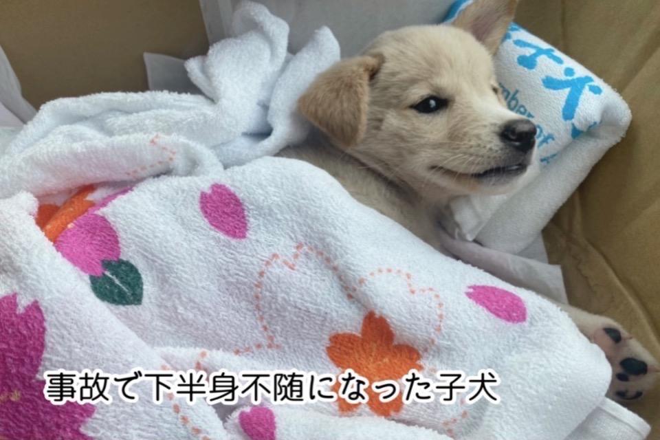 なぜこの課題に取り組むかの画像