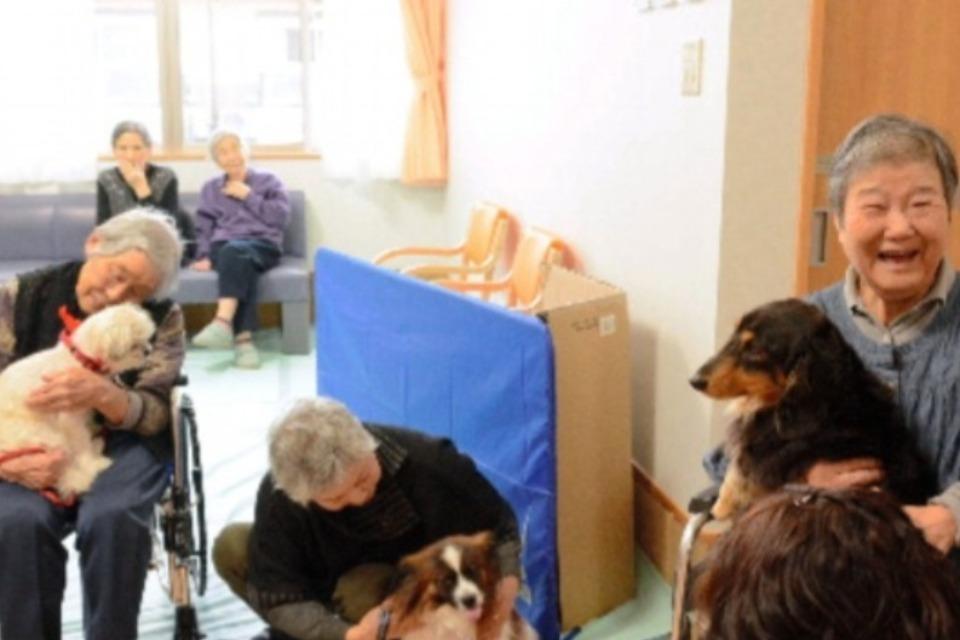 なぜこの課題に取り組むかの画像
