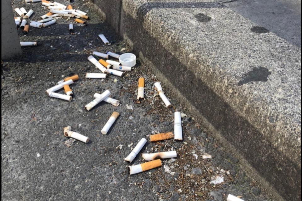 Why we are tackling this issue Image