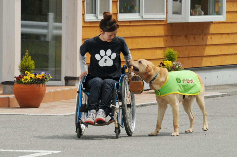 なぜこの課題に取り組むかの画像