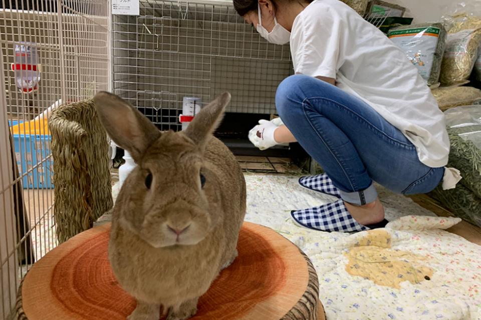 なぜこの課題に取り組むかの画像