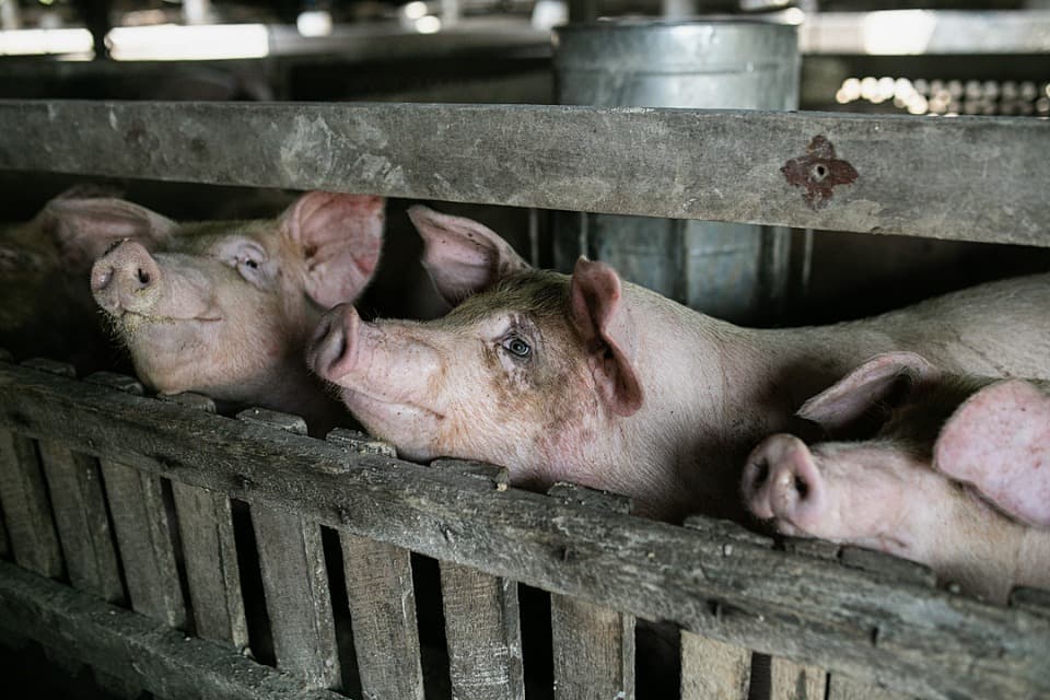 なぜこの課題に取り組むかの画像