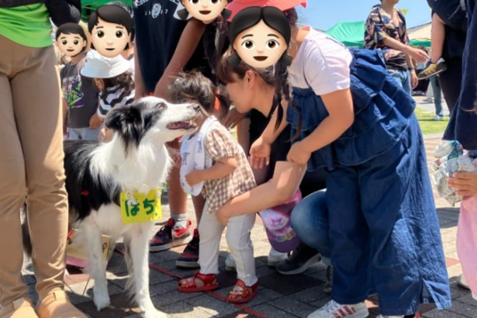 なぜこの課題に取り組むかの画像