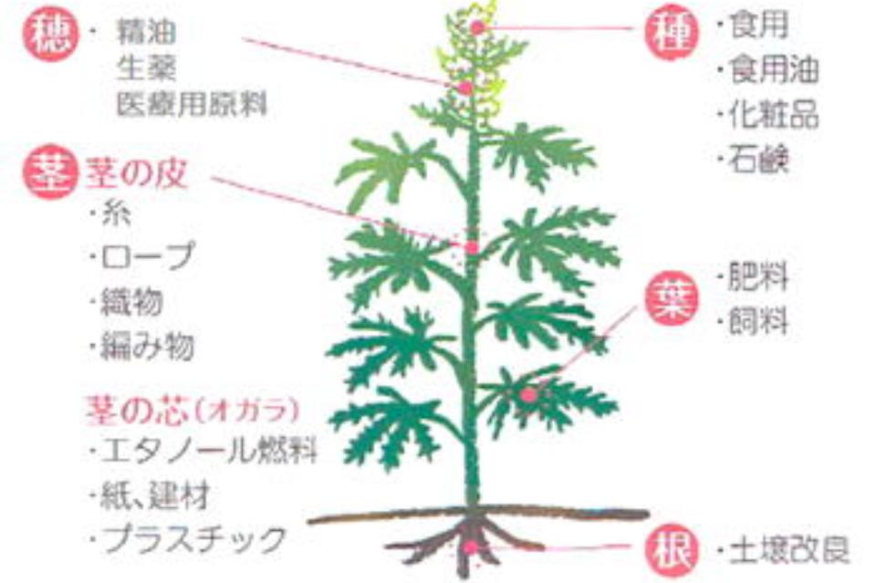 なぜこの課題に取り組むかの画像