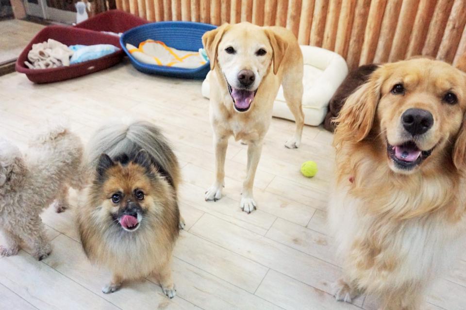 なぜこの課題に取り組むかの画像