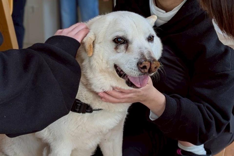 なぜこの課題に取り組むかの画像