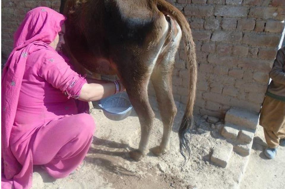 なぜこの課題に取り組むかの画像