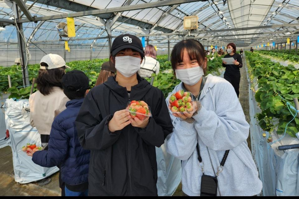 なぜこの課題に取り組むかの画像