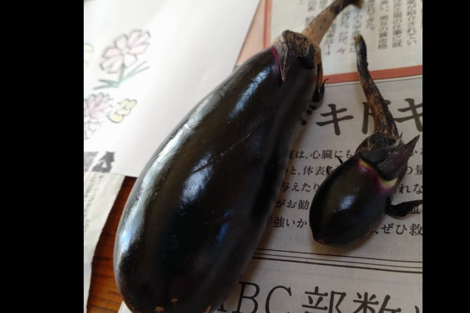 なぜこの課題に取り組むかの画像