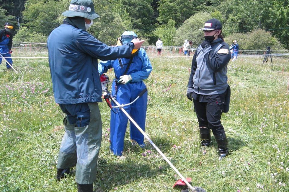 なぜこの課題に取り組むかの画像