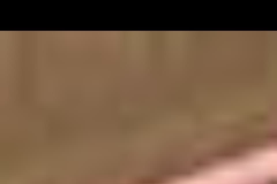 Why we are tackling this issue Image