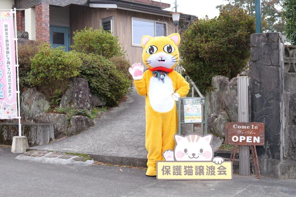 なぜこの課題に取り組むかの画像