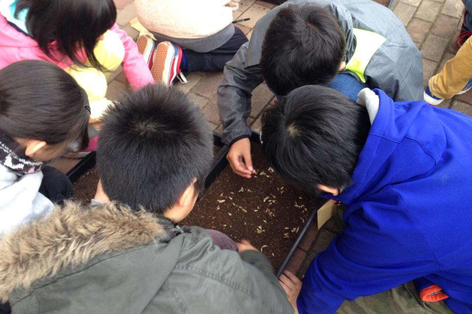 Why we are tackling this issue Image