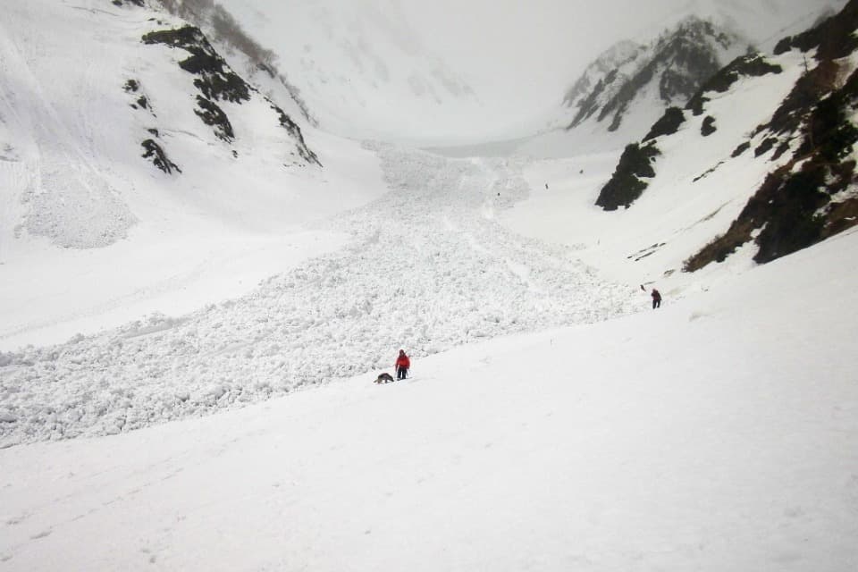 なぜこの課題に取り組むかの画像