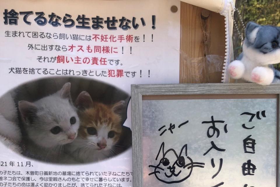 なぜこの課題に取り組むかの画像