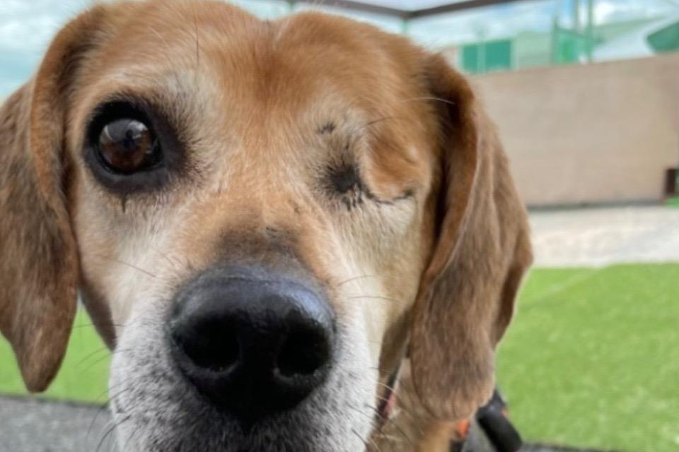 なぜこの課題に取り組むかの画像