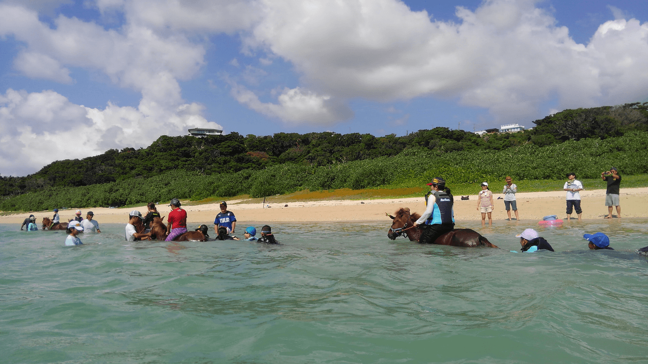 Why we are tackling this issue Image