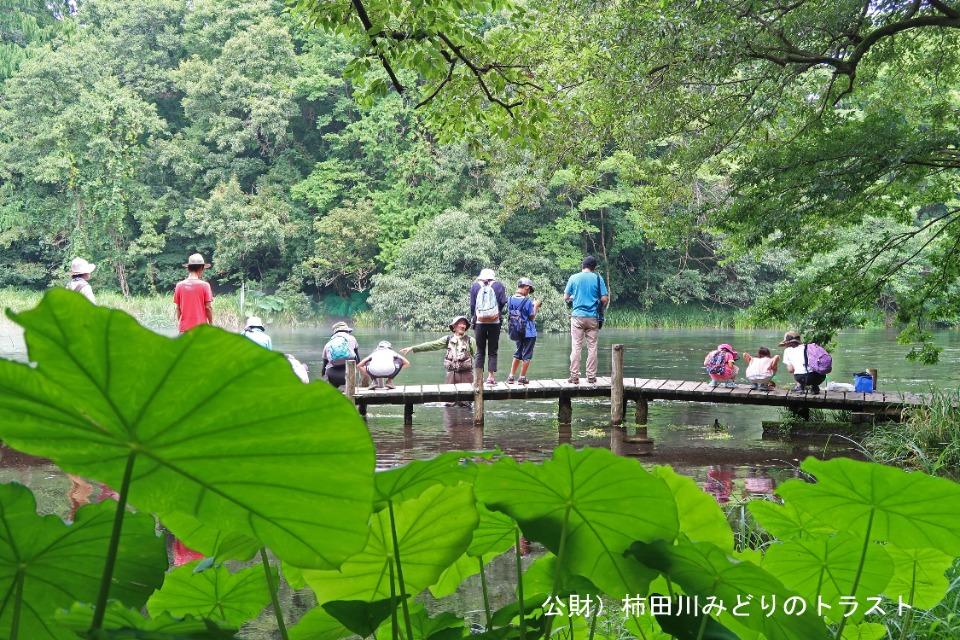 なぜこの課題に取り組むかの画像