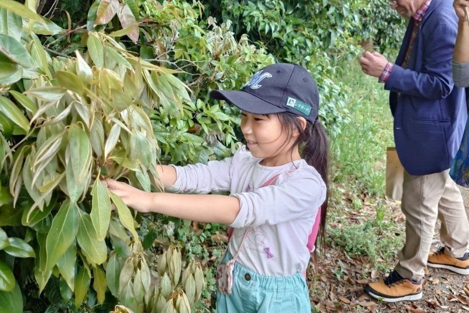 支援金の使い道の画像