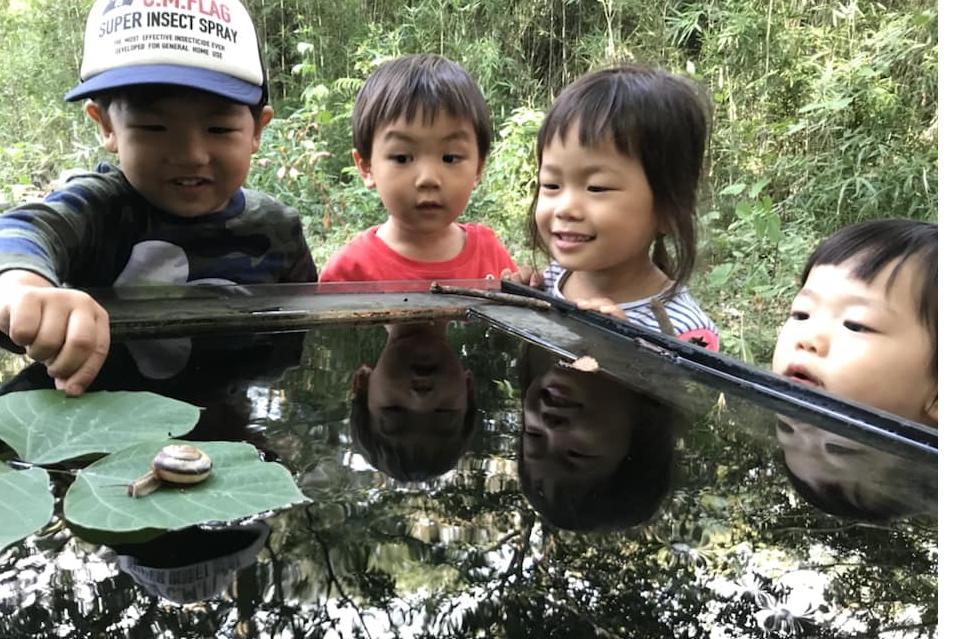 支援金の使い道の画像