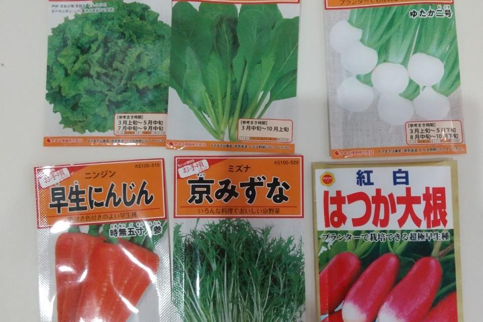 支援金の使い道の画像