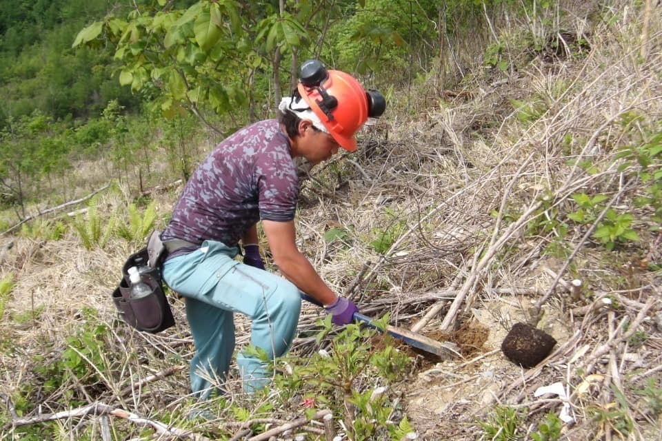 支援金の使い道の画像