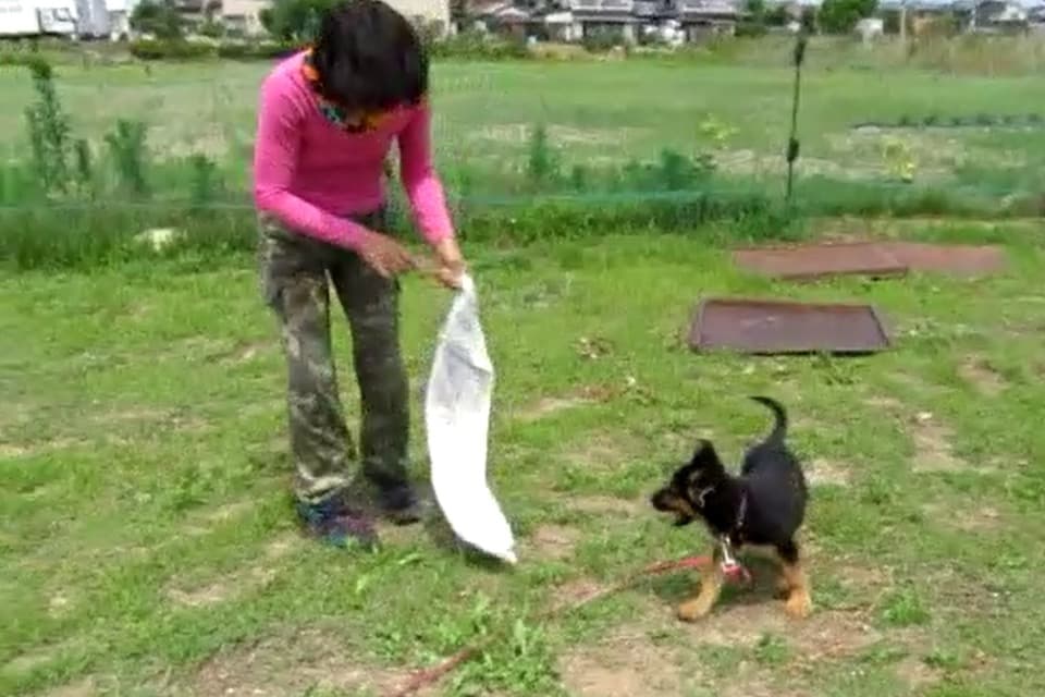 支援金の使い道の画像