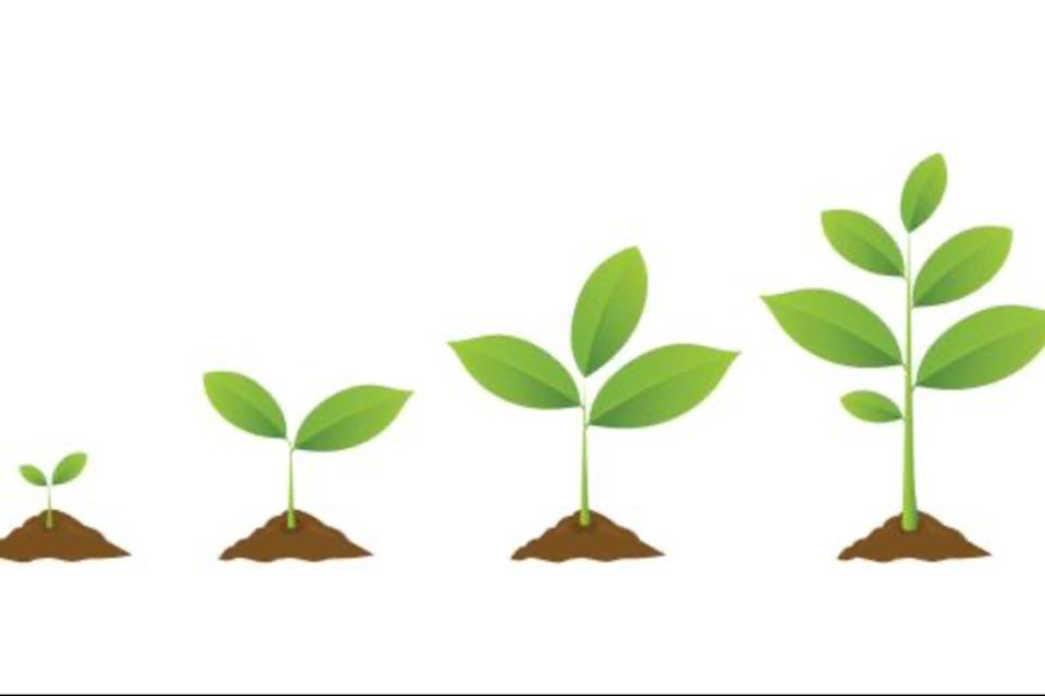 支援金の使い道の画像