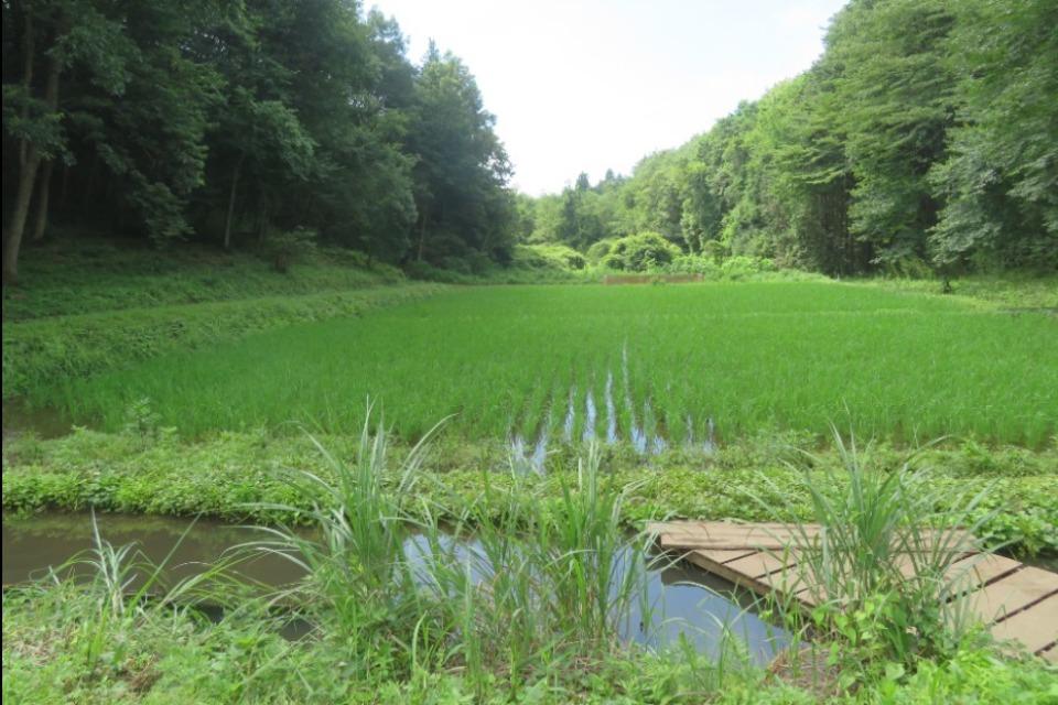 支援金の使い道の画像