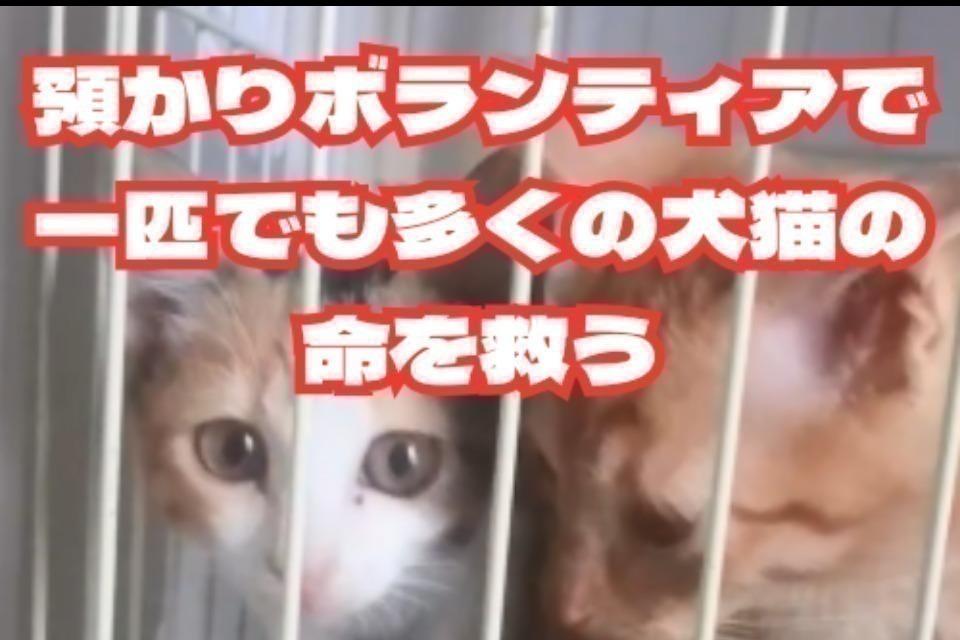 支援金の使い道の画像