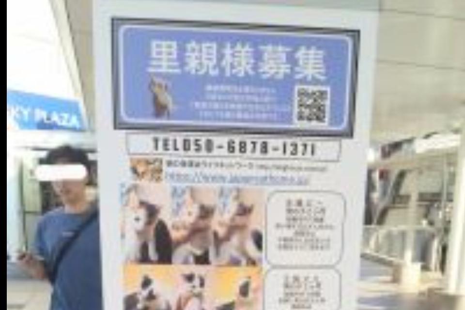 支援金の使い道の画像